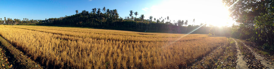 Balian Beach Back Country | The Gap Year Family