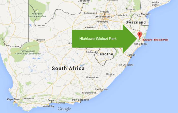Hluhluwe-iMolozi Park Kids | The Gap Year Family