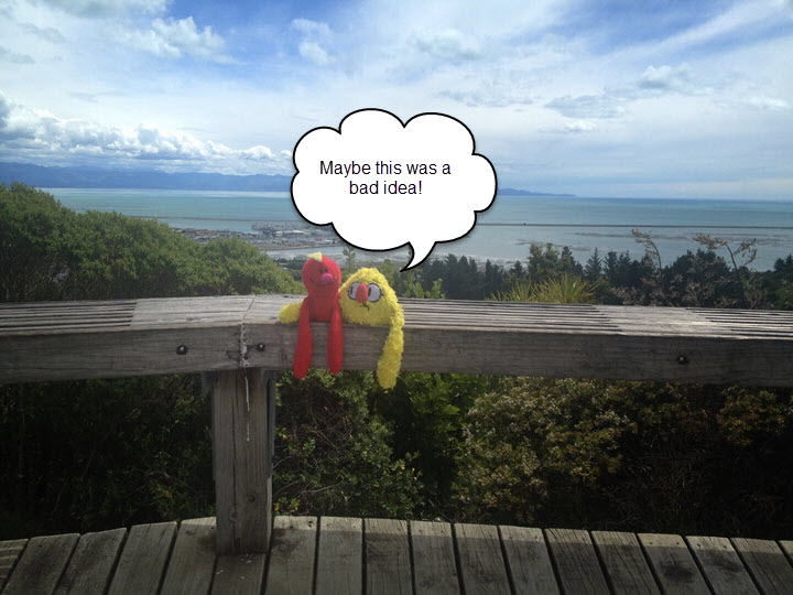 Nelson-New-Zealand-and-Middle-Earth-bad idea | The Gap Year Family