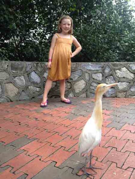 KL Bird Park