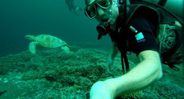 Swimming with Turtles in Sipadan Malaysia