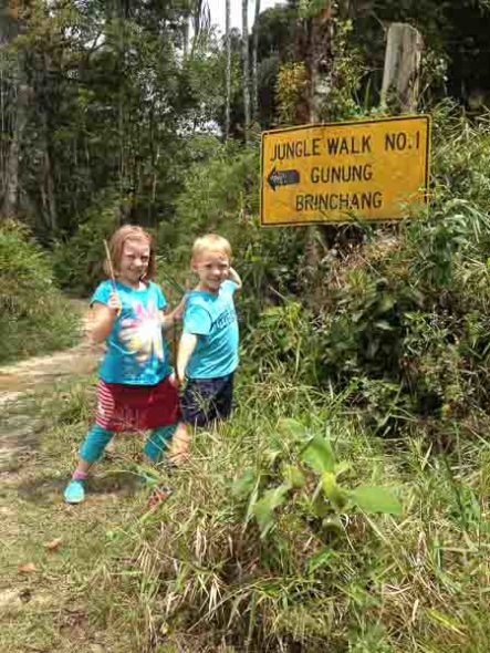 Cameron Highlands with Kids Malaysia (1) | The Gap Year Family Cameron Highlands with Kids Malaysia (1)