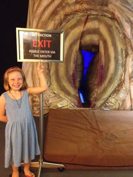 Exploring the human body at the Science Center in Singapore with kids | The Gap Year Family Singapore with Kids Science Center