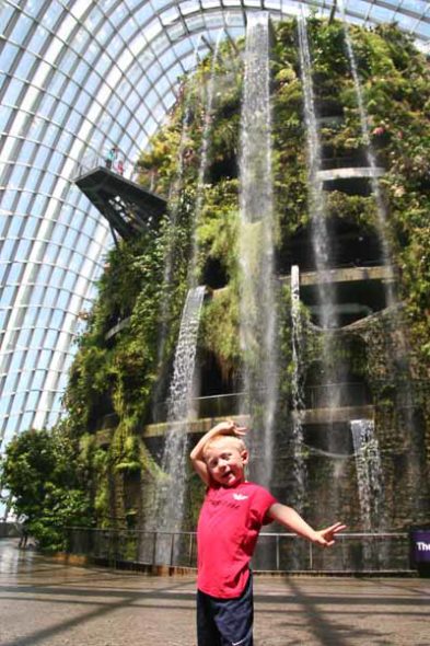 Garden's by The Bay Singapore with Kids | The Gap Year Family Gardens by the Bay Singapore with Kids