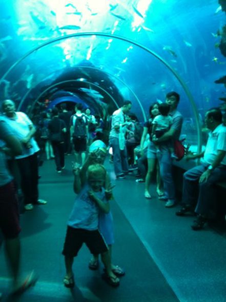 Singapore with Kids - Aquarium | The Gap Year Family Singapore with Kids Sentosa