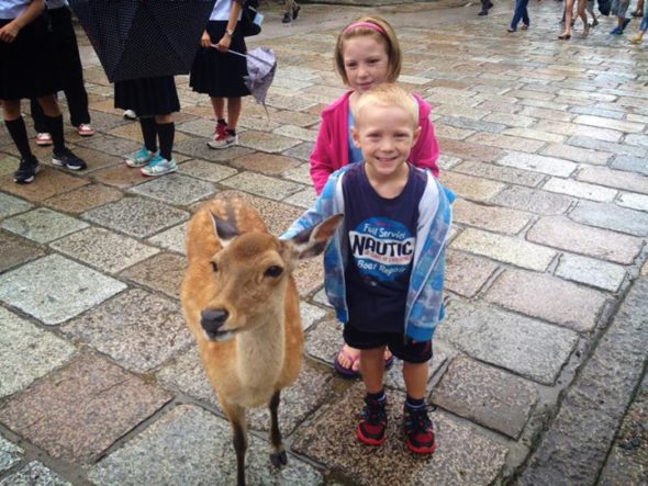 Nara Deer with Kids | The Gap Year Family Making friends with one of the hoards of deer in Nara